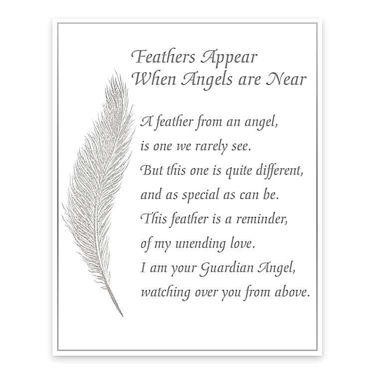 Bradford exchange feather outlet necklace