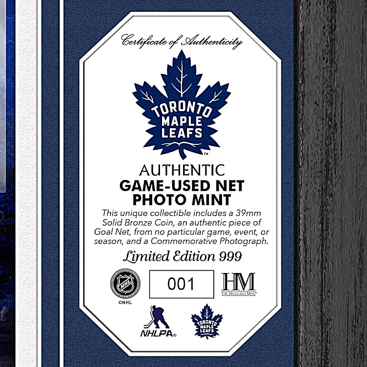 Toronto Maple Leafs R NHL R Framed Wall Decor With Team Colours
