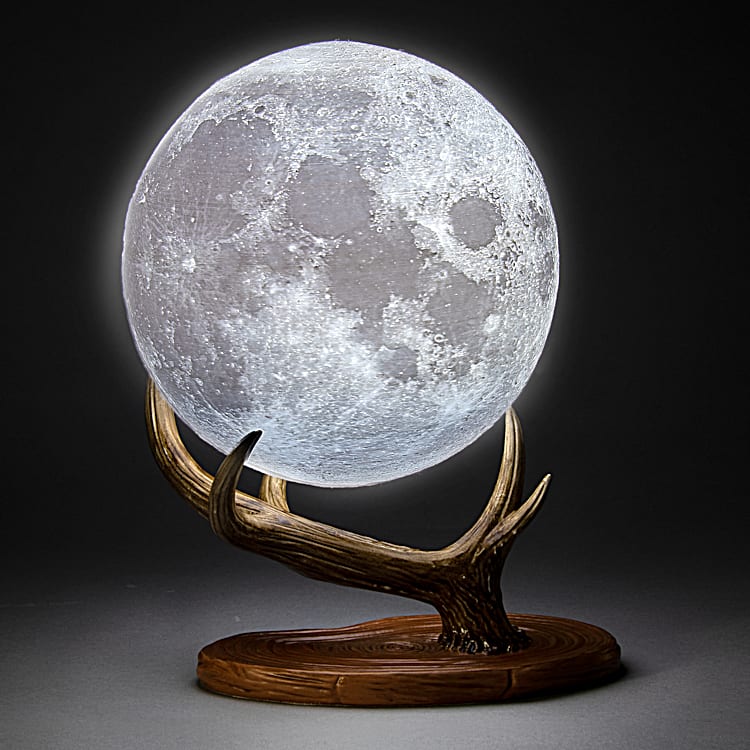 Moon sculpture light 2025