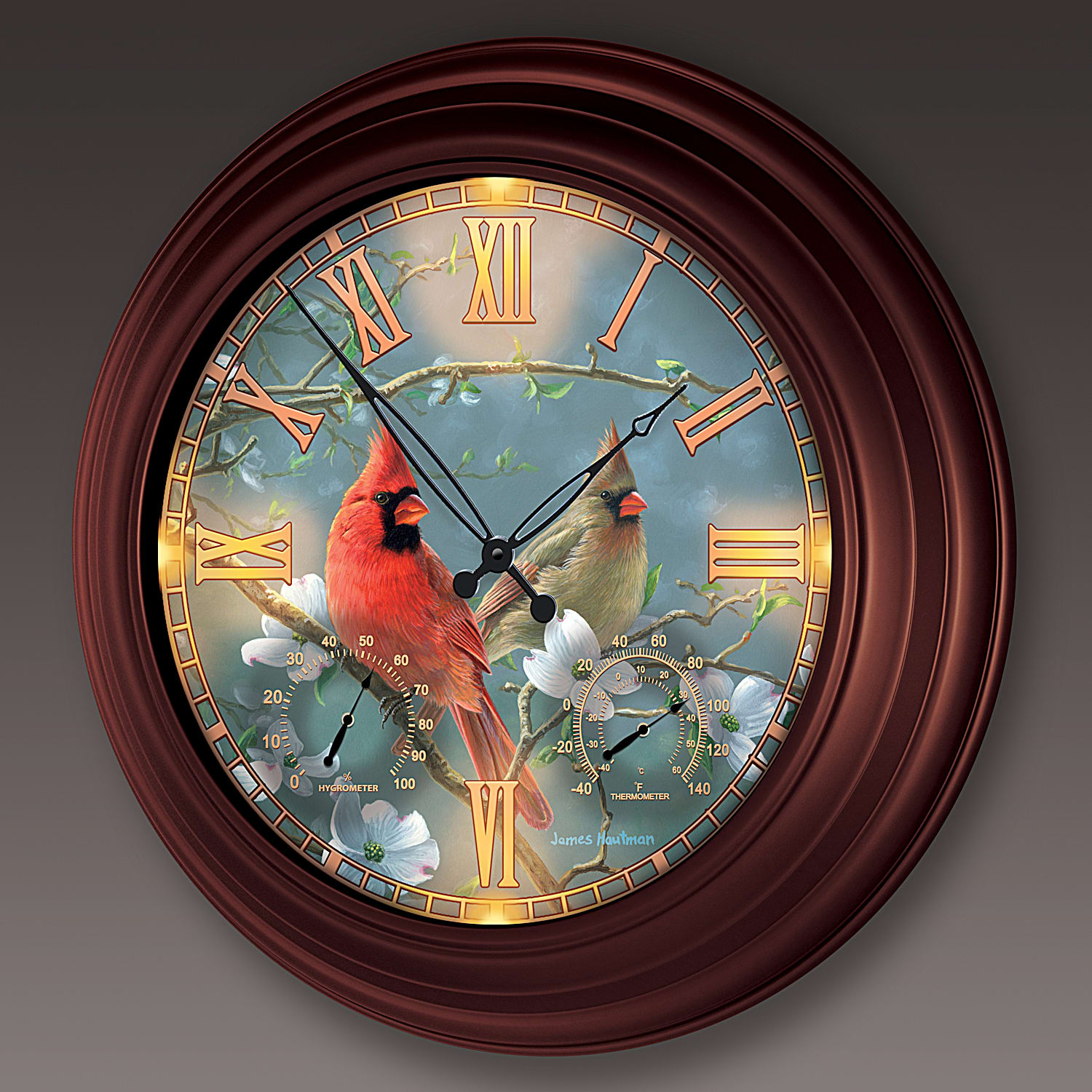 Natures Masterpiece Cardinal-Themed Outdoor Illuminated Atomic