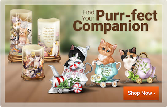Find Your Purr-fect Companion - Shop Now