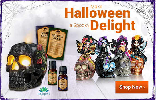 Make Halloween a Spooky Delight - Shop Now
