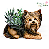 Yorkie Planter With Always In Bloom Succulents